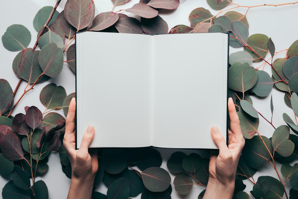 cropped view of woman holding empty diary on white with eucalyptus leaves  - Photo, Image