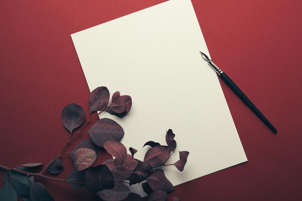 верхний вид эвкалиптовых ветвей с пустой страницей и перьевой ручкой на красном
  - Фото, изображение