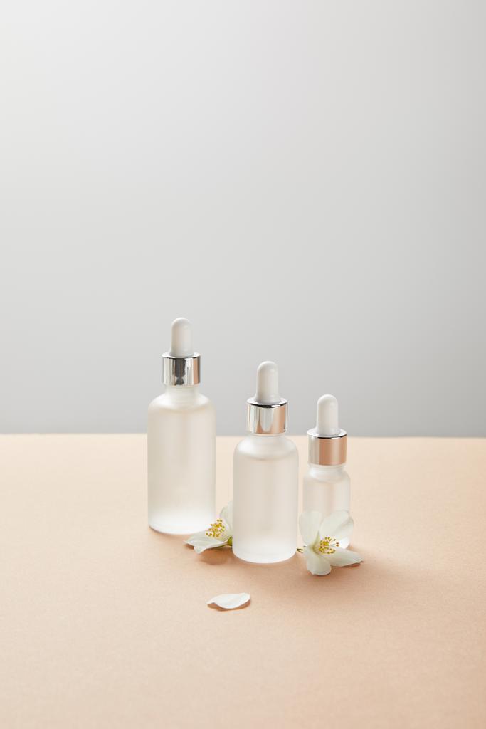 Kosmetikglasflaschen und ein paar Jasminblüten auf beige isoliert auf grau - Foto, Bild