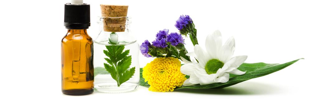 tiro panorâmico de garrafas perto de flores e folhas isoladas em branco
  - Foto, Imagem