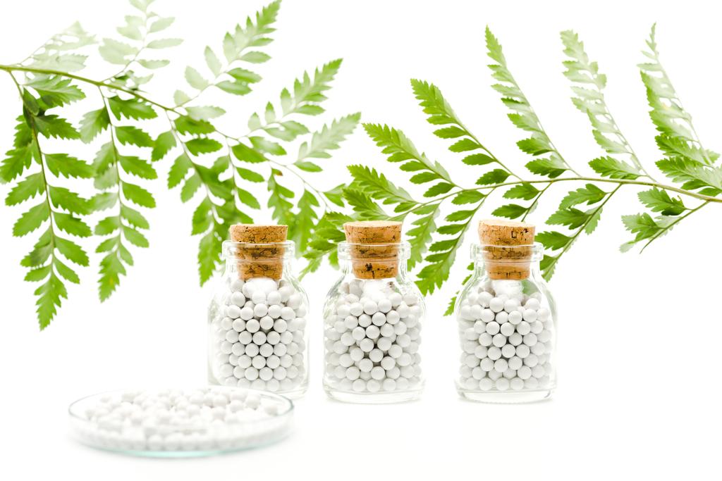 白の緑の葉の近くに木製のコルクを持つガラス瓶の丸い丸い錠剤の選択的な焦点  - 写真・画像