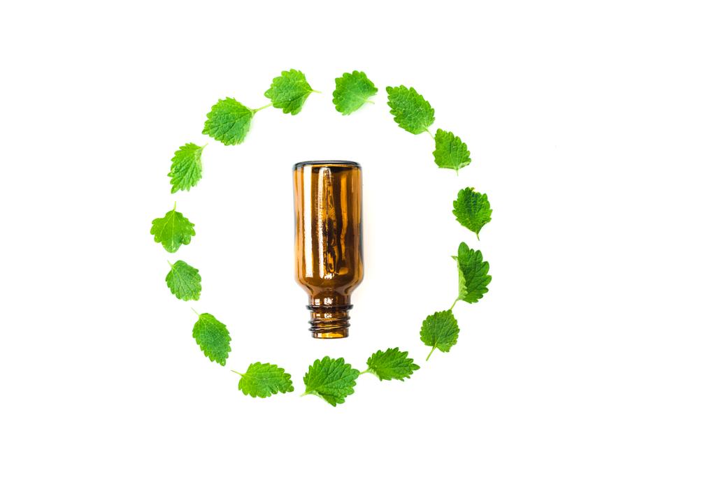 vue du dessus de la petite bouteille près du cadre de feuilles fraîches vertes isolées sur blanc
  - Photo, image