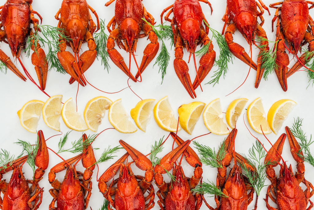 top view of red lobsters, lemon slices and green herbs on white background - Photo, Image