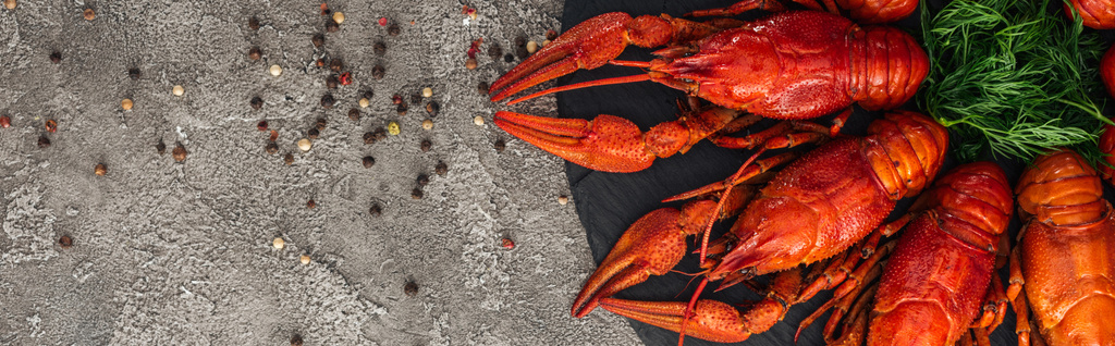 panoramic shot of black plate with red lobsters, peppers and green herbs on grey textured surface - Photo, Image