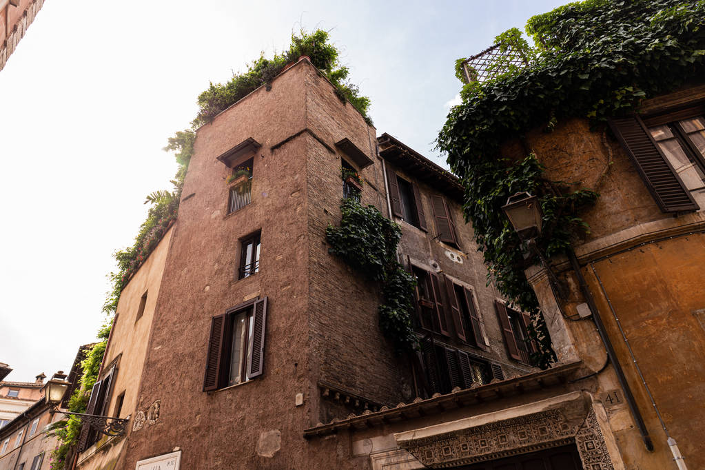 bottom view of buildings with green plants in rome, italy - Photo, Image