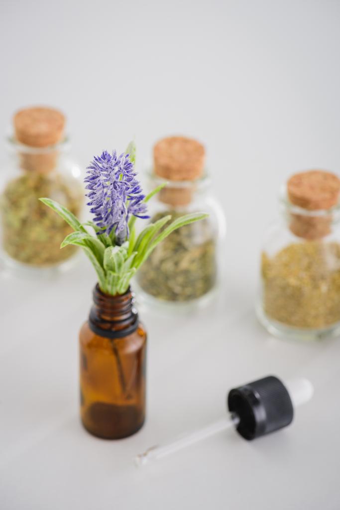 foyer sélectif de compte-gouttes et jacinthe dans une bouteille en verre près de pots bouchés avec des herbes séchées sur la surface blanche
 - Photo, image