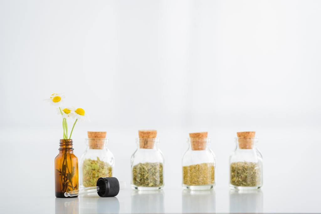 glass bottle with chamomile flowers, dropper and corked jars with dried herbs on white background with copy space - Photo, Image