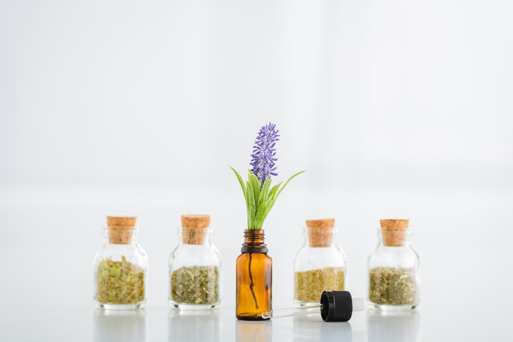 пробкові банки з сушеними травами та пляшкою з квіткою гіацинта на білому тлі
  - Фото, зображення