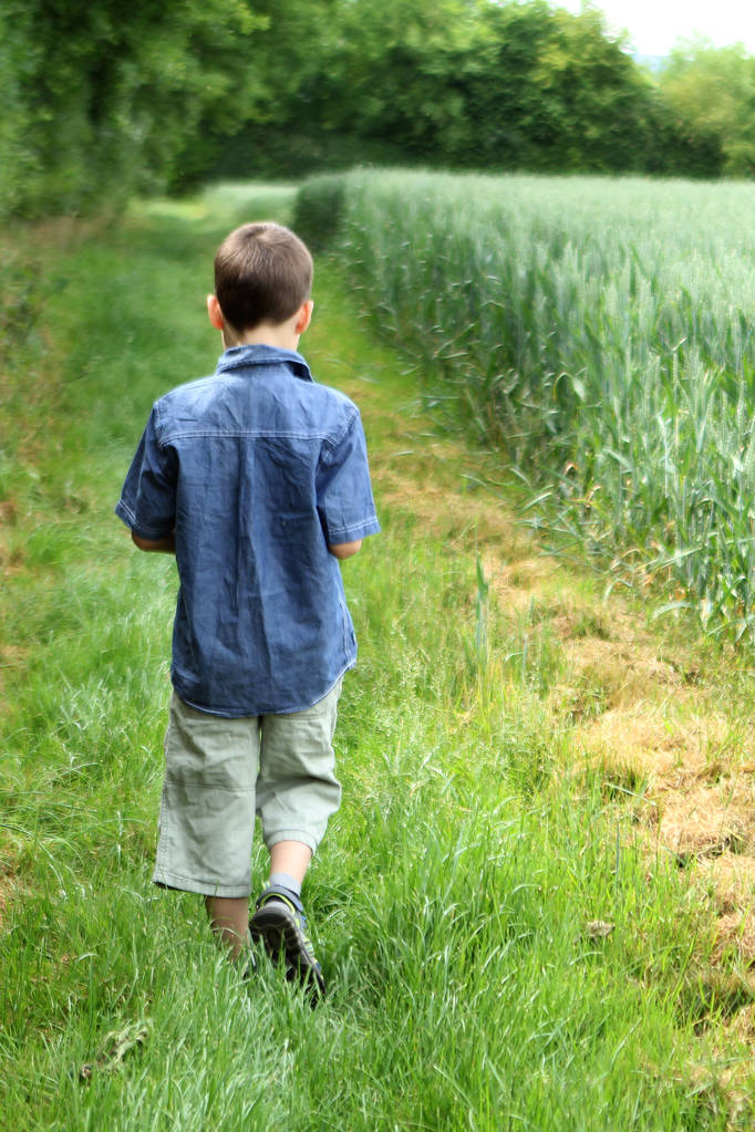 fiú egy farmer inget és rövidnadrág sétál a mező mentén, a gazdag termés a búza a füle érlelő területén, a háttérben a távoli hegyek, fák és bokrok láthatók, vertikális - Fotó, kép