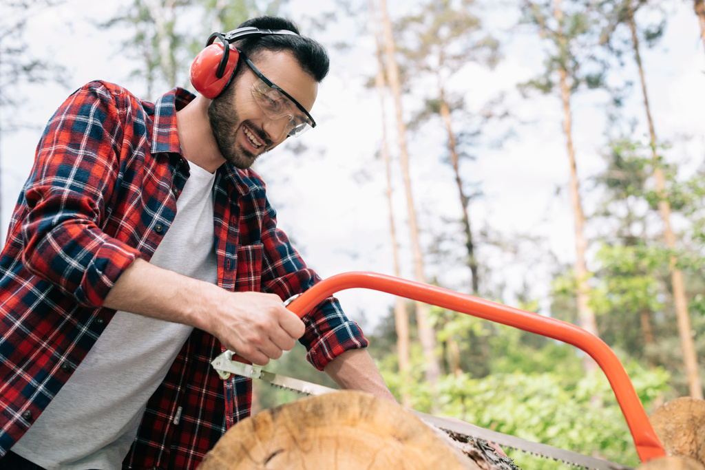 lachende houthakker in oorkappen en beschermende glazen snijden log met handzaag in bos - Foto, afbeelding