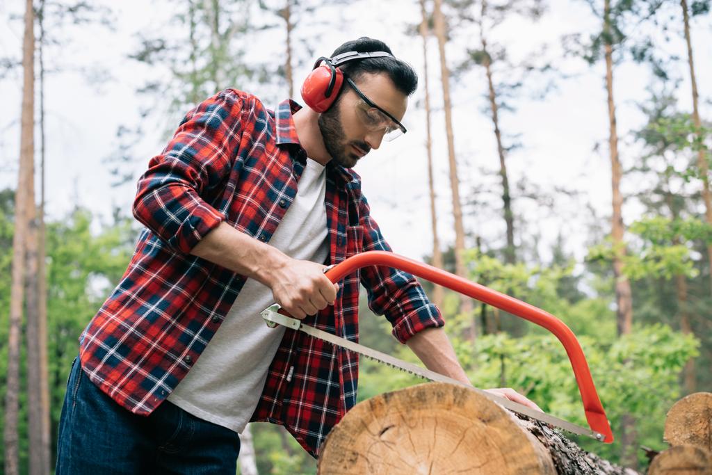 Aufmerksame Holzfäller im Ohrenschützer schneiden Baumstamm mit Bogensäge im Wald - Foto, Bild