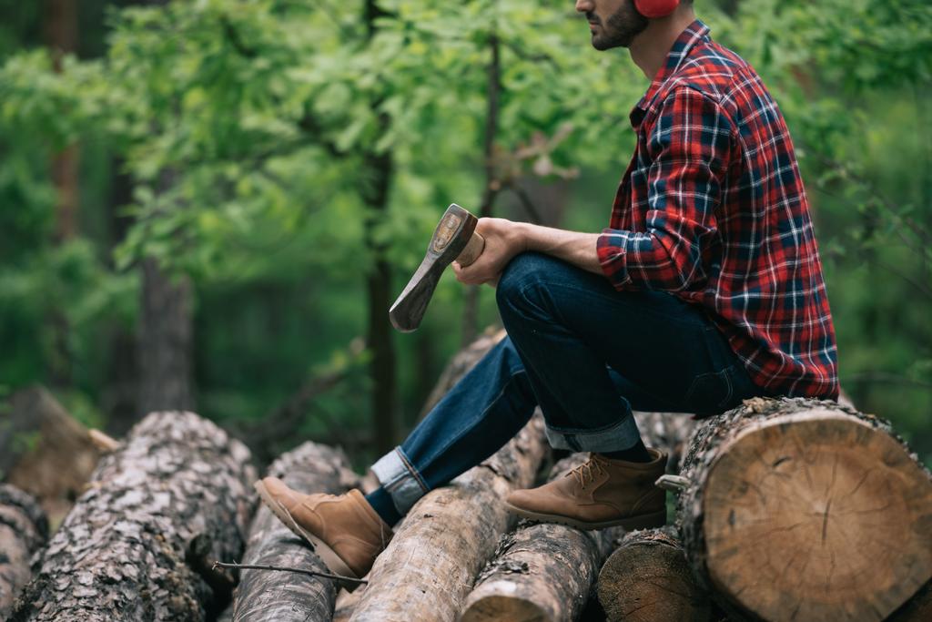 bijgesneden uitzicht van houthakker Holding AX terwijl zittend op boomstammen in bos - Foto, afbeelding