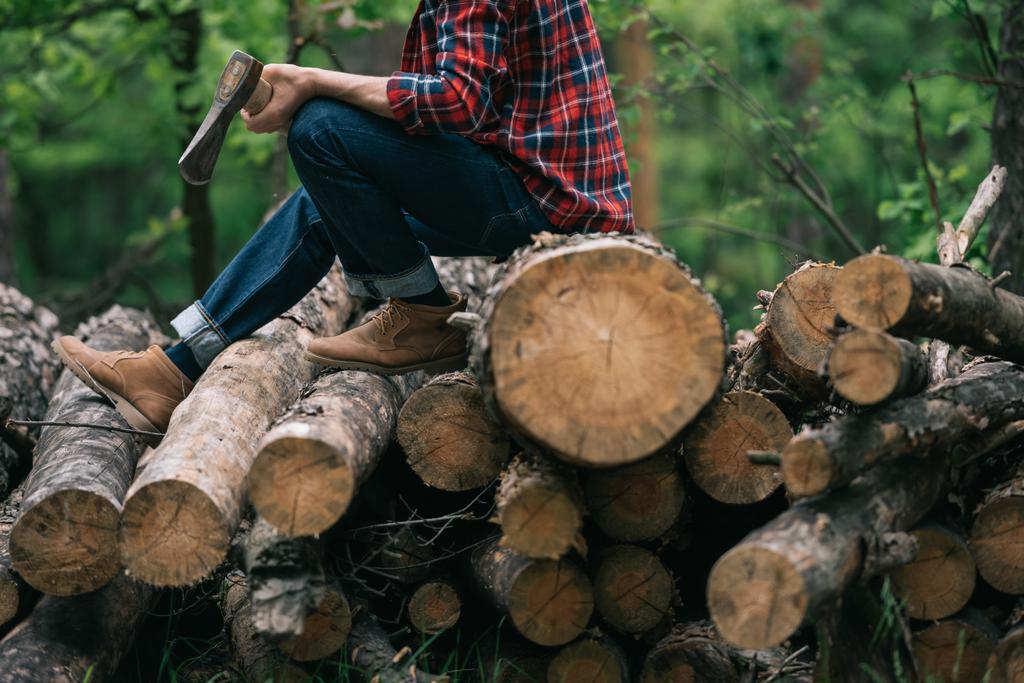 Teilansicht eines Waldarbeiters mit Axt im Sitzen auf Baumstämmen im Wald - Foto, Bild