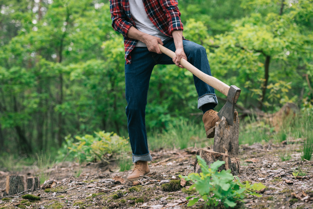 částečný pohled na dřevorubec v kostrvané košili a džínsy s řezáním dřeva s sekyrou v lese - Fotografie, Obrázek