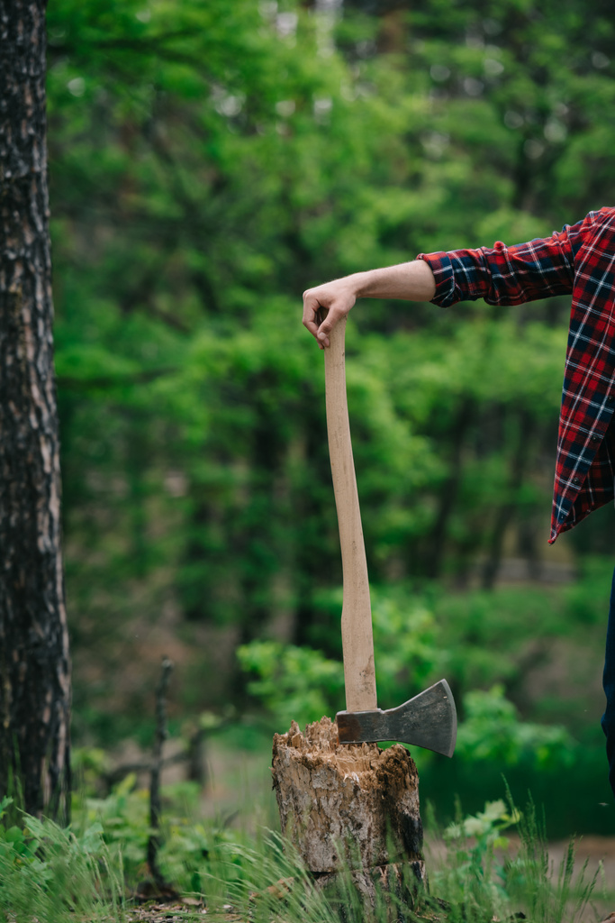 vue recadrée du bûcheron en chemise à carreaux debout avec hache dans la forêt
 - Photo, image