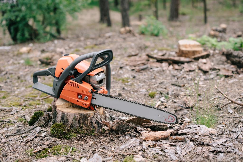 tronçonneuse électrique orange vif sur souche de bois en forêt
 - Photo, image
