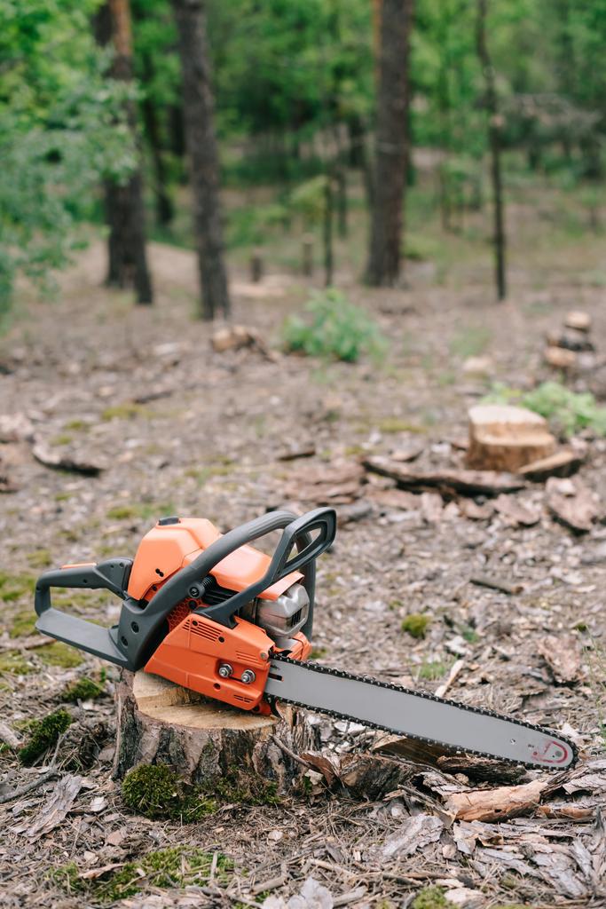 tronçonneuse électrique, pointue, orange sur souche de bois en forêt
  - Photo, image