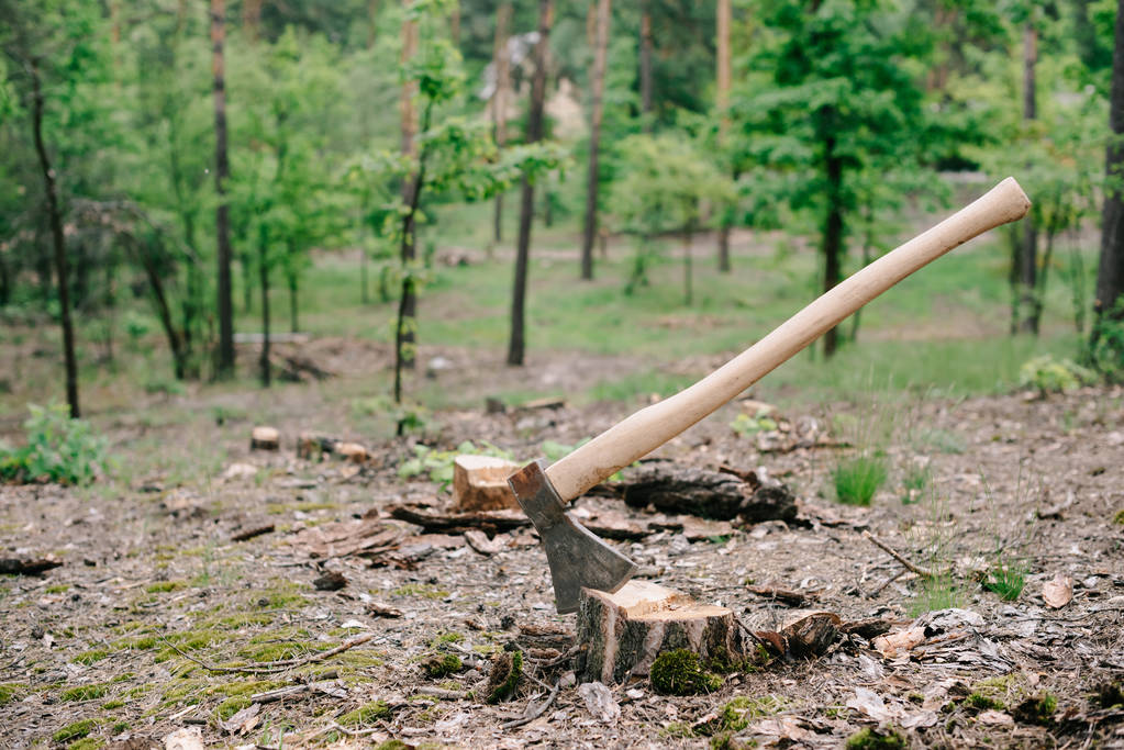 scharfe, schwere Axt mit Holzgriff auf Holzstumpf im Wald - Foto, Bild