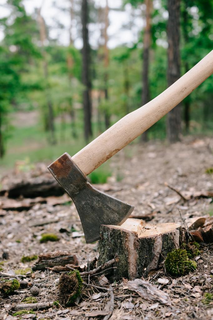 těžká, ostrá Sekyra s dřevěnou rukojetí na pařezu dřeva v lese - Fotografie, Obrázek