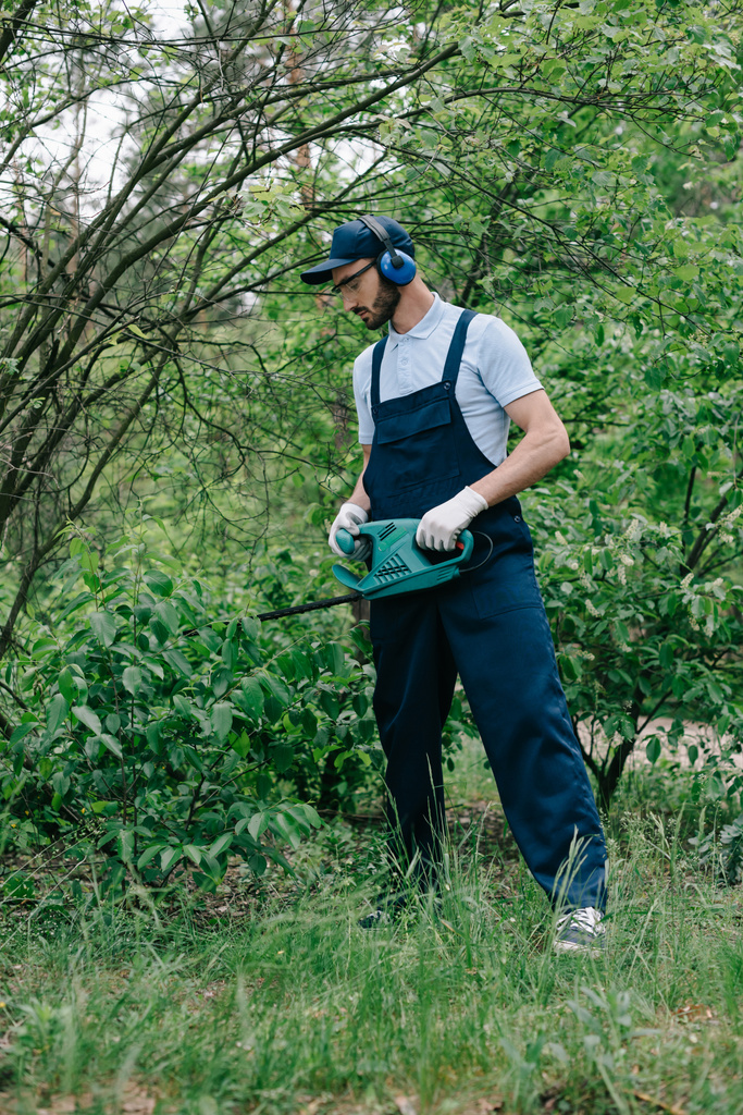 gardener in overalls and noise-canceling headphones pruning bushes with electric trimmer - Photo, Image