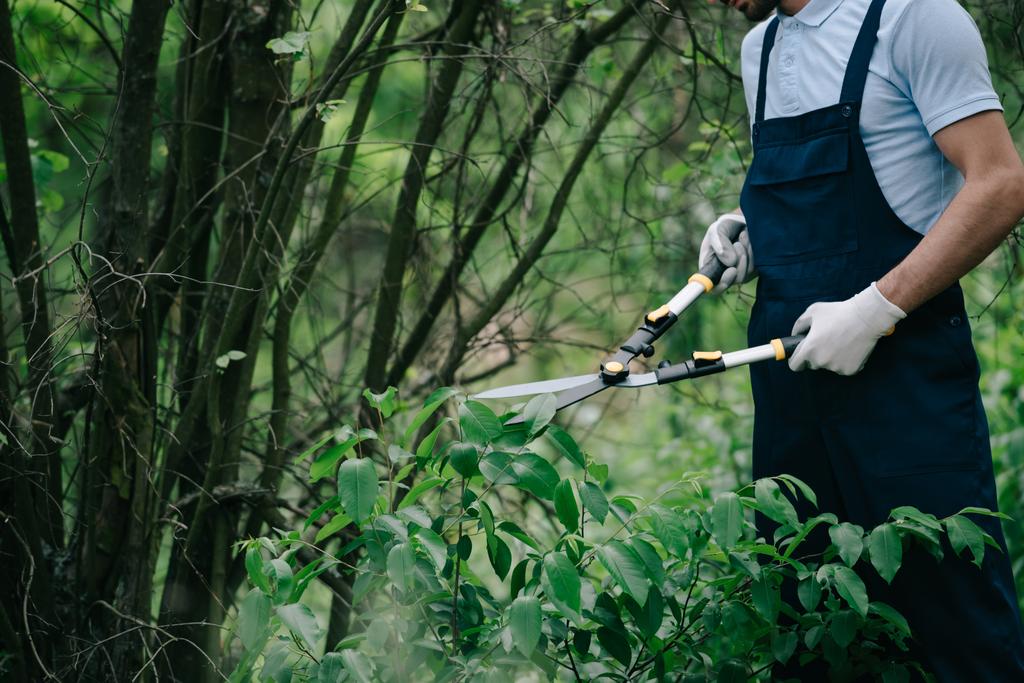 bijgesneden aanzicht van tuinman snij struiken met trimmer in Park - Foto, afbeelding