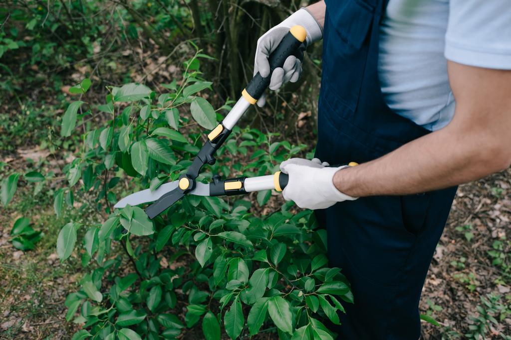 vista recortada del jardinero en overoles cortando arbustos con trimmer en parque
 - Foto, Imagen