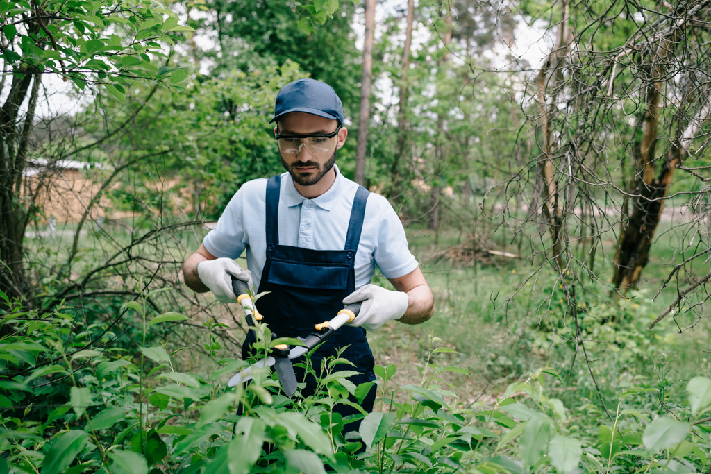 handsome gardener in protective glasses and overalls cutting bushes with trimmer in park - Photo, Image