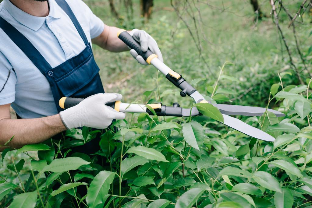 oříznutý pohled na zahradníka v rukavicích prosekávání keřů s nůžkami na zahradě - Fotografie, Obrázek