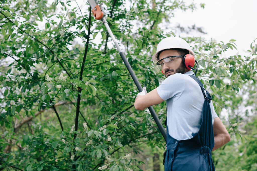 jardinero serio en árboles de recorte de casco con sierra telescópica y mirando a la cámara
 - Foto, imagen