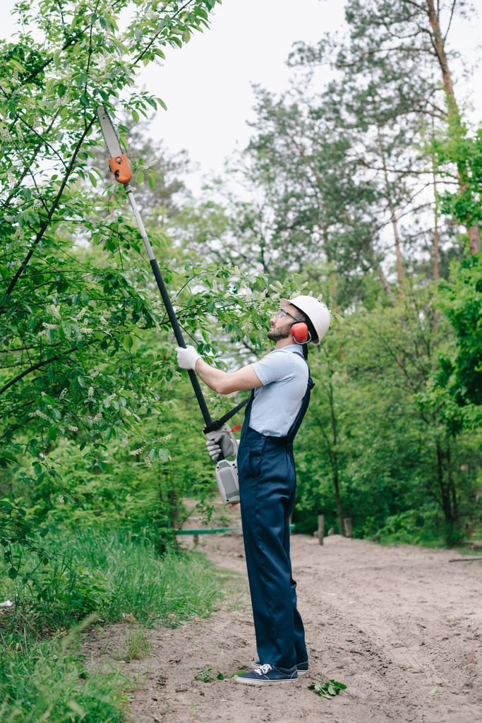 jardinier en casque et salopette couper les arbres avec scie à perche télescopique dans le jardin
 - Photo, image