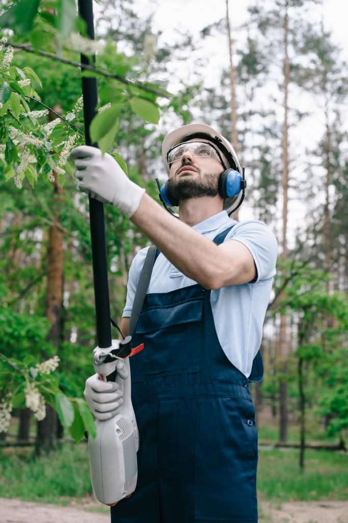 jardineiro em capacete, óculos de proteção e protetores auditivos aparando árvores com serra de poste telescópica no jardim
 - Foto, Imagem