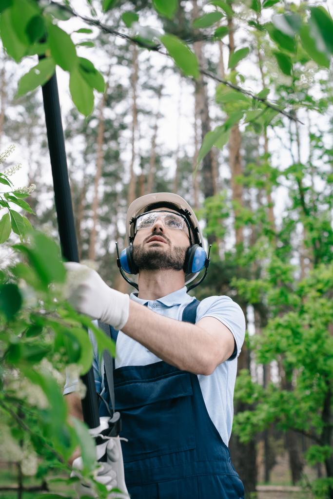 Selektiver Fokus des Gärtners mit Helm, Schutzbrille und Gehörschutz beim Baumschneiden mit Teleskopstangensäge im Garten - Foto, Bild
