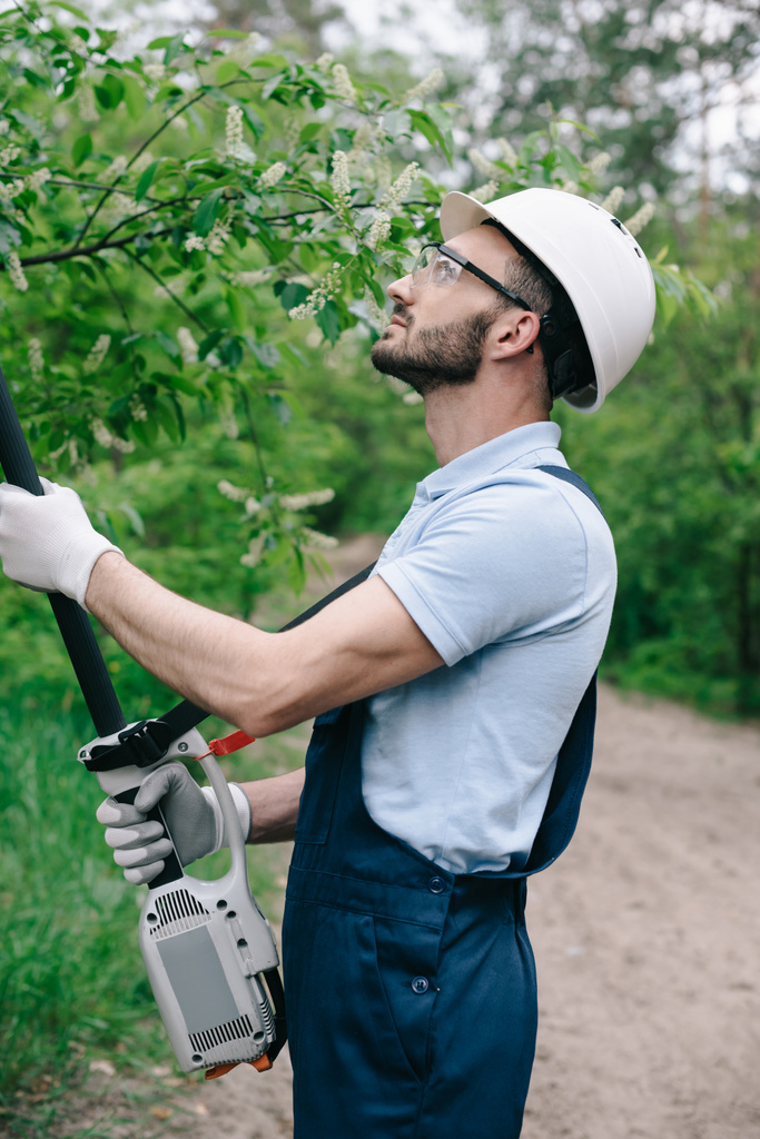 внимательный садовник в шлеме и защитные очки обрезка деревьев с телескопической пилой полюса в саду
 - Фото, изображение