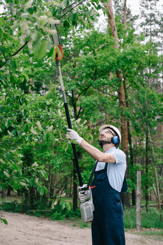 jardineiro em macacão, capacete e protetores auditivos aparando árvores com serra de poste telescópica no jardim
 - Foto, Imagem