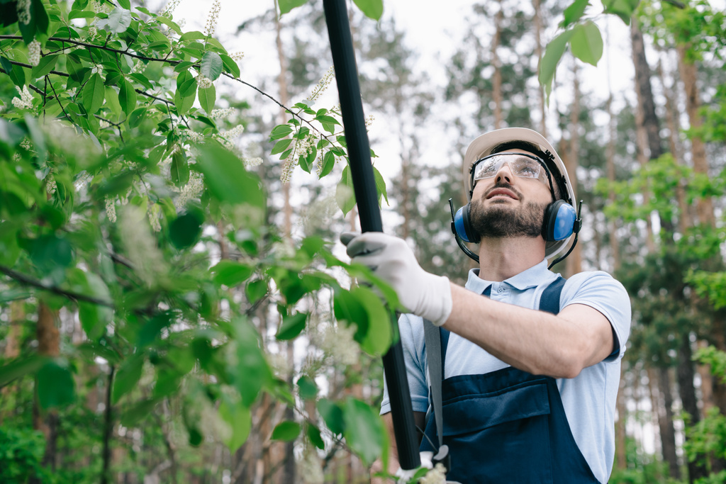 jardinier souriant dans le casque, lunettes de protection et protecteurs auditifs couper les arbres avec une scie à perche télescopique dans le jardin
 - Photo, image