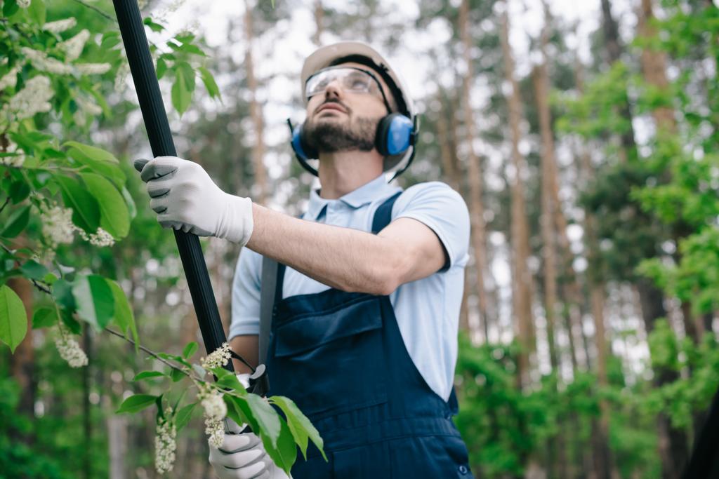внимательный садовник в защитных очках и слуховые протекторы, обрезающие деревья телескопической шестовой пилой в саду
 - Фото, изображение