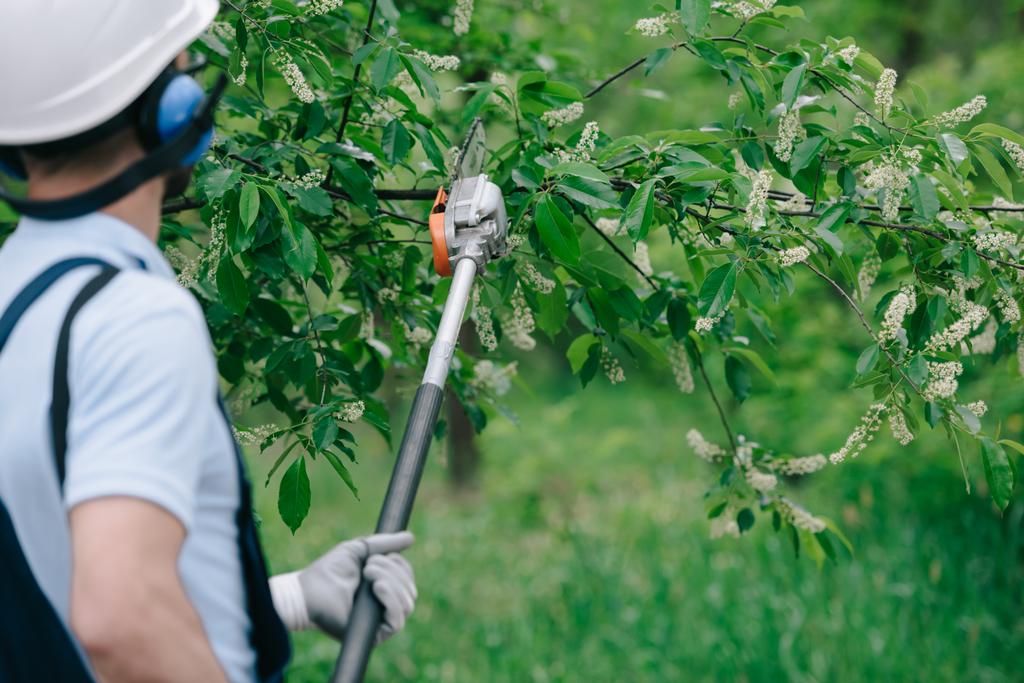 vue arrière du jardinier couper les arbres avec une scie à perche télescopique dans le parc
 - Photo, image