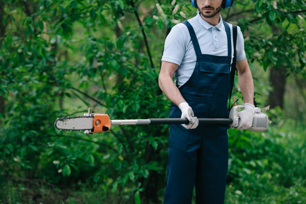 cropped view of gardener in overalls holding telescopic pole saw in garden - Photo, Image