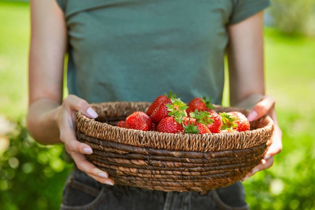 abgeschnittene Ansicht einer Frau, die einen Korb mit leckeren Erdbeeren hält - Foto, Bild