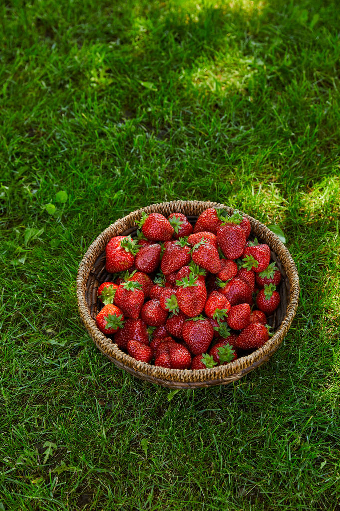zoete rode aardbeien in rieten schaal op groen gras - Foto, afbeelding