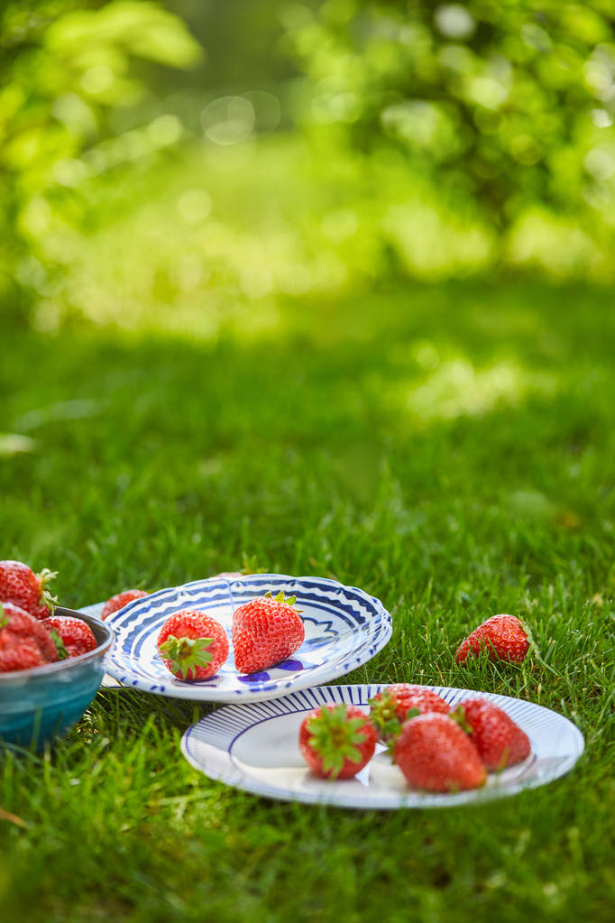enfoque selectivo de fresas rojas dulces en tazón y platos en hierba verde
 - Foto, imagen