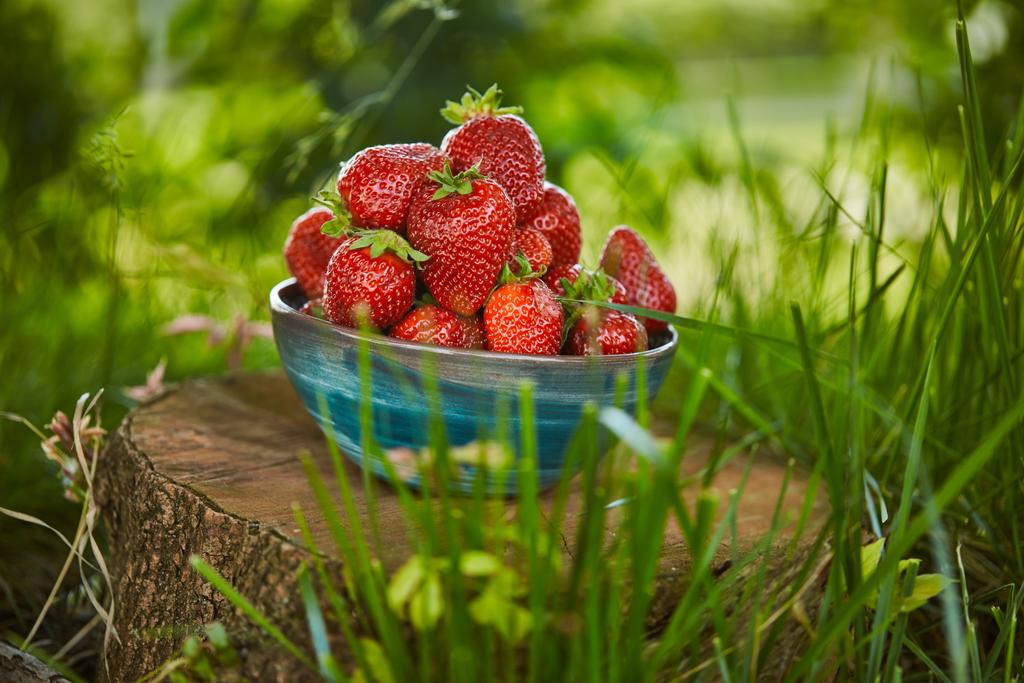 fresh sweet strawberries in bowl on stump - Photo, Image
