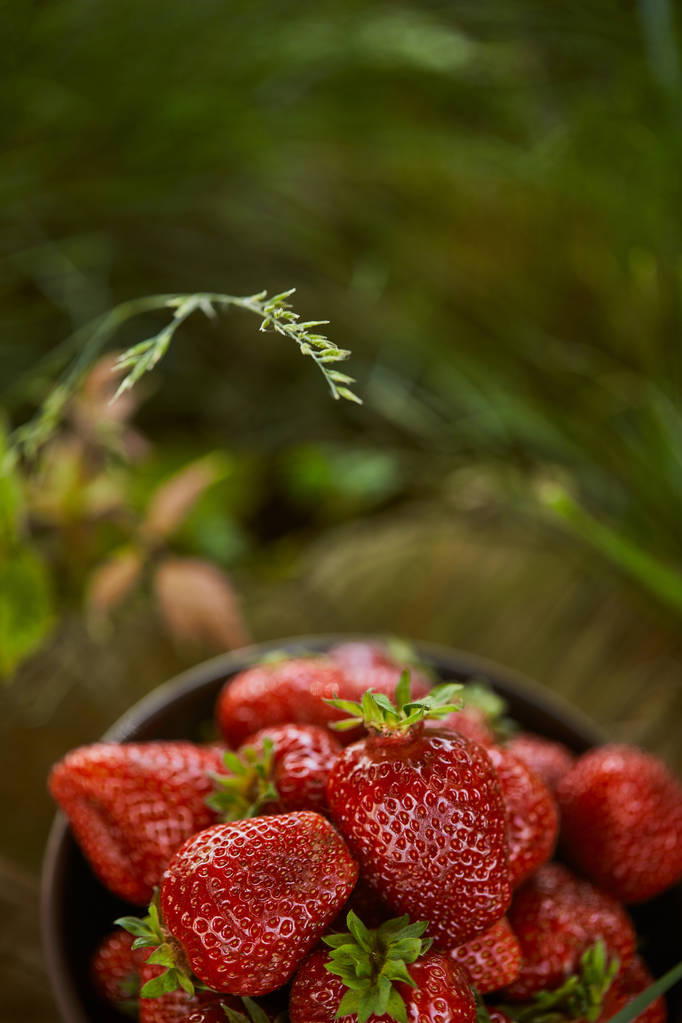 selective focus of fresh red strawberries in bowl on grass - Photo, Image