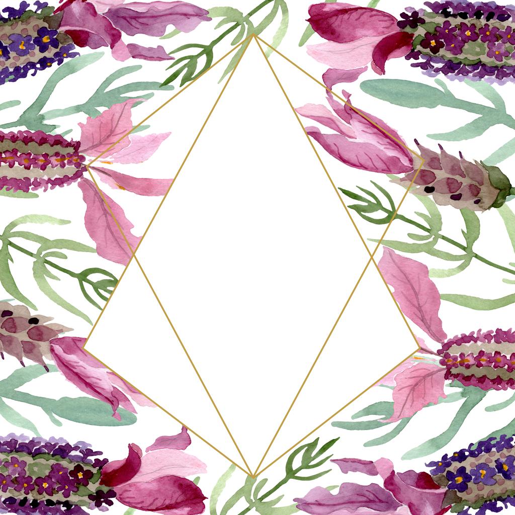 紫色のラベンダーの花の植物の花。●水彩背景イラストセット。フレームボーダーオーナメント正方形. - 写真・画像