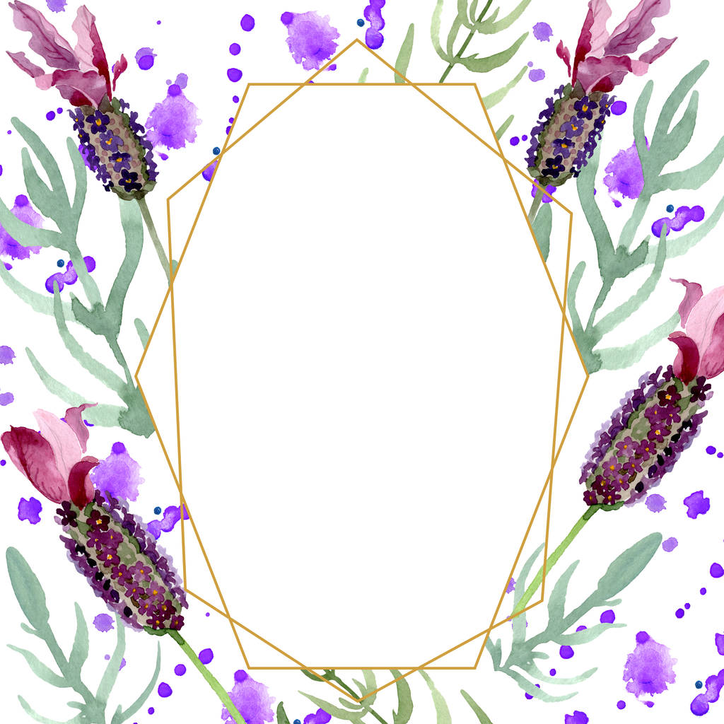 紫色のラベンダーの花の植物の花 野生の春の葉の野生の花 水彩背景イラストセット 水彩画ファッションアクアレル フレームボーダークリスタルオーナメント正方形 ロイヤリティフリー写真 画像素材