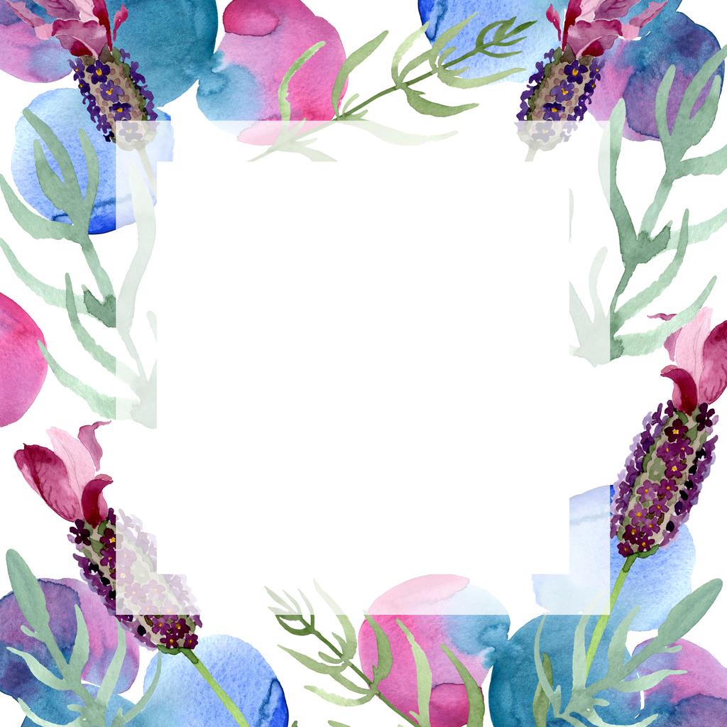 Purple lavanda flores botánicas florales. Conjunto de ilustración de fondo acuarela. Marco borde ornamento cuadrado
. - Foto, imagen