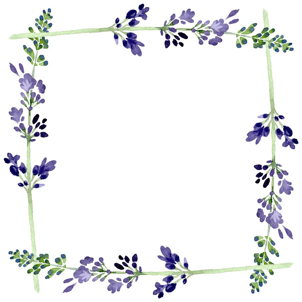 violettem Lavendel florale botanische Blume. Aquarell Hintergrundillustration Set. Rahmen Rand Ornament Quadrat. - Foto, Bild
