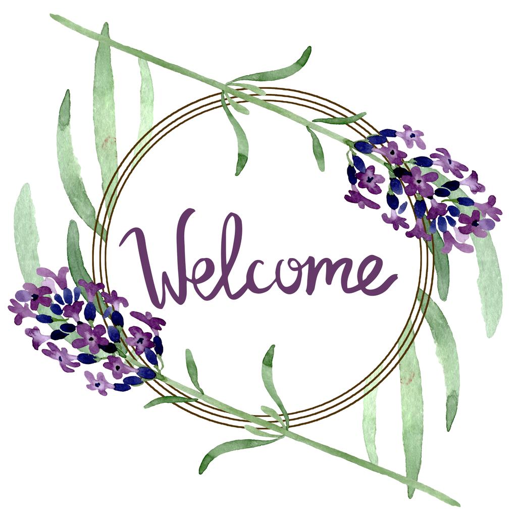 Violet fleur botanique florale lavande. Ensemble d'illustration de fond aquarelle. Cadre bordure ornement carré
. - Photo, image