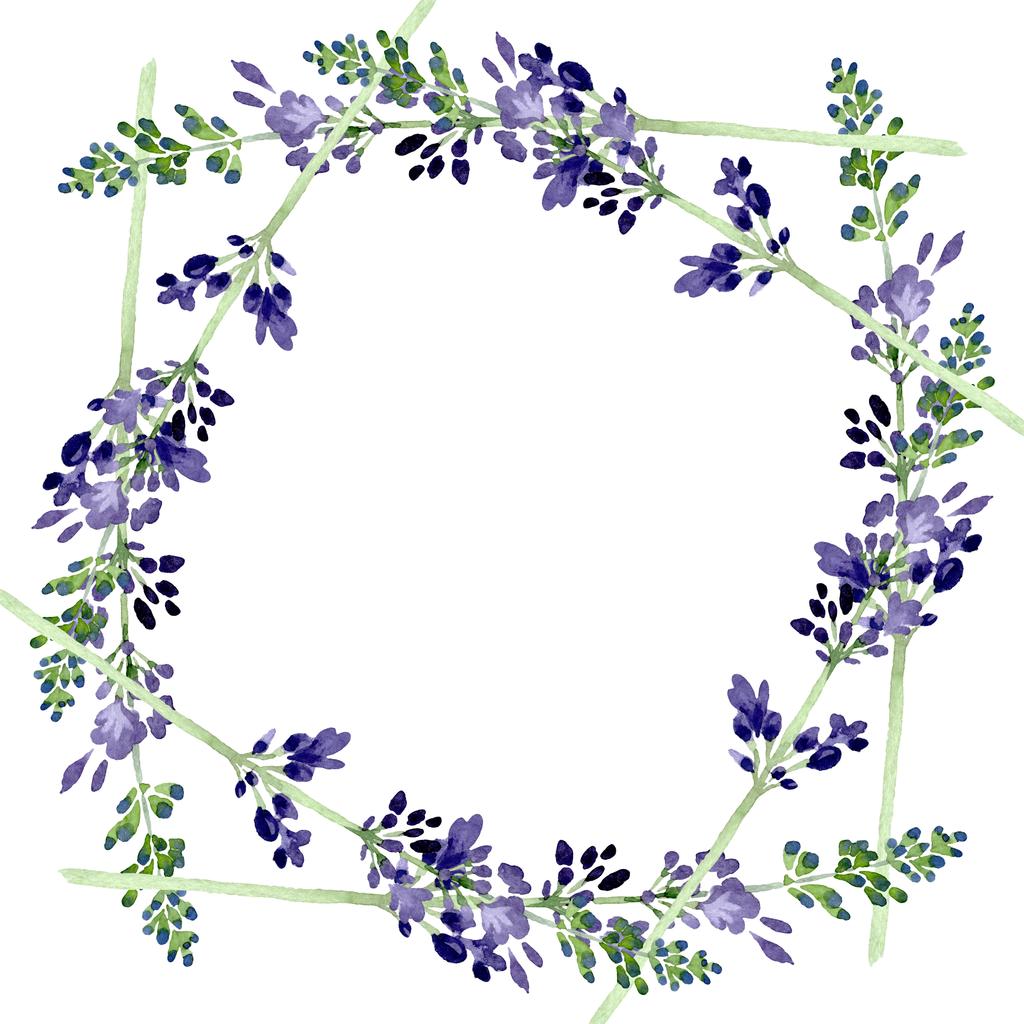 violettem Lavendel florale botanische Blume. Aquarell Hintergrundillustration Set. Rahmen Rand Ornament Quadrat. - Foto, Bild