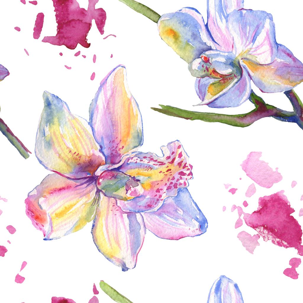 Orchidea virág botanikai virágok. Akvarell háttér illusztráció meg. Folytonos háttérmintázat. - Fotó, kép
